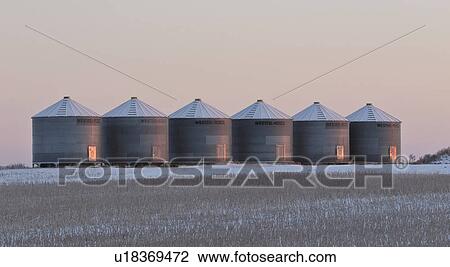 Stock Image - grain, sun, row, up, lighting, rising. Fotosearch