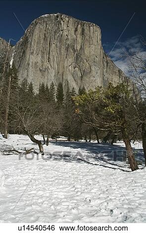 granite, national, capitan, california, park, yosemite View Large Photo Image Stock Photograph - granite, national, capitan, california, park, yosemite. Fotosearch