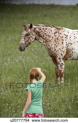 grass, girl, some, horse, offering, young View Large Photo Image Picture - grass, girl, some, horse, offering, young. Fotosearch