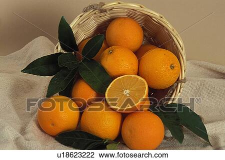 Stock Image - green, fruit, orange, basket, oranges, food. Fotosearch