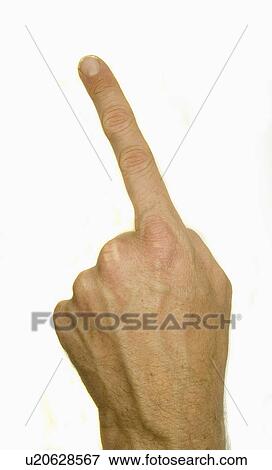hand, knuckl, knuckle, pointing, mans View Large Photo Image Stock Photo - hand, knuckl, knuckle, pointing, mans. Fotosearch