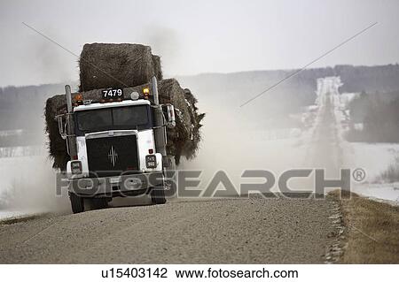 hauling, winter, bales, hay, truck View Large Photo Image Stock Image - hauling, winter, bales, hay, truck. Fotosearch