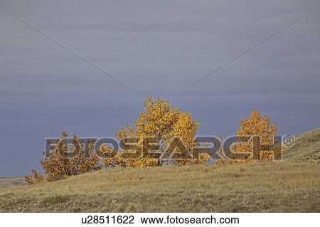 highway, lake, south, 738, autumn View Large Photo Image Stock Image - highway, lake, south, 738, autumn. Fotosearch