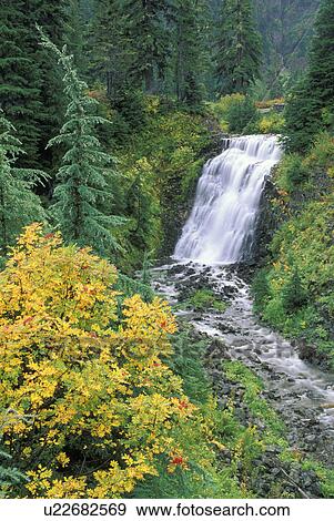 Stock Photo - highway, washington, county, ash, river, leaf. Fotosearch