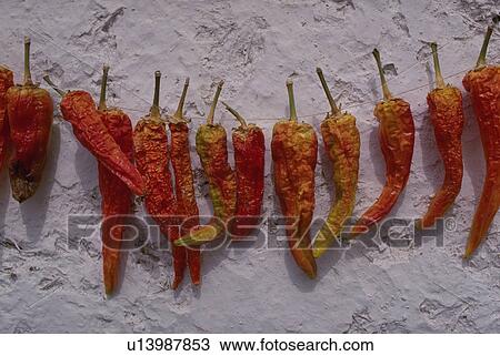 Stock Image - hispanic, chile, mexico, new, peppers, detail. Fotosearch