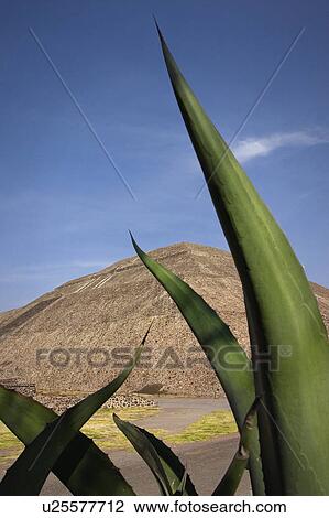 Stock Image - hispanic, pyramid, mexico, teotehuacan, sun, view. Fotosearch