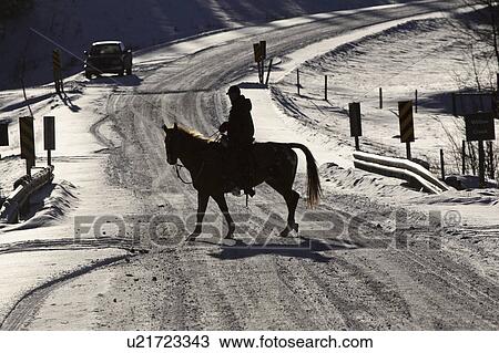 horse, rider, canada, alberta, winter, horseback View Large Photo Image Stock Image - horse, rider, canada, alberta, winter, horseback. Fotosearch