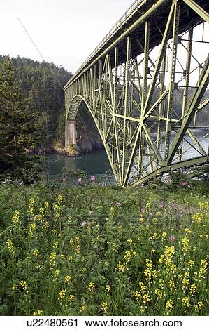 island, pass, park, state, bridge, deception View Large Photo Image Stock Image - island, pass, park, state, bridge, deception. Fotosearch