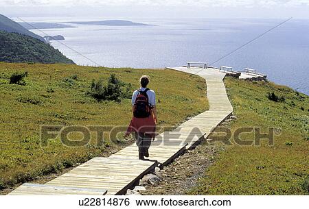 island, released, trail, meadow, canada, model View Large Photo Image Stock Photograph - island, released, trail, meadow, canada, model. Fotosearch