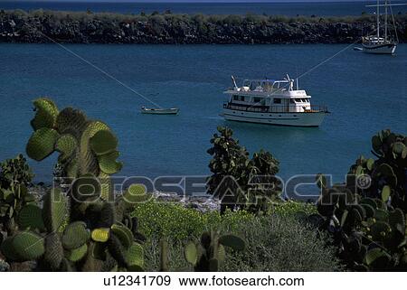 islands, excursion, galapagos, boat, vessel, view View Large Photo Image Stock Photo - islands, excursion, galapagos, boat, vessel, view. Fotosearch