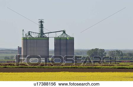 Stock Photograph - jaw, view, moose, elevator, gargill, scenic. Fotosearch
