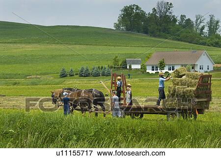 Stock Photo - kids, family, children, relatives, work, amish. Fotosearch