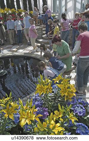 Stock Photo - kids, reflective, fish, watching, children. Fotosearch