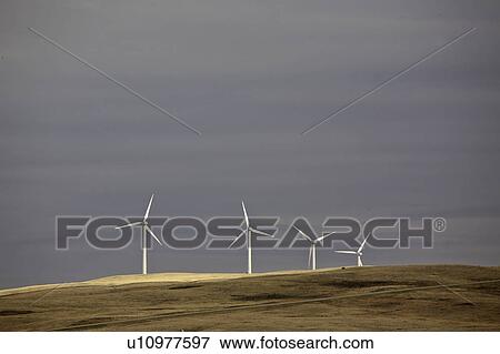 lake, electricity, gull, southwest, generators, windmill View Large Photo Image Stock Photo - lake, electricity, gull, southwest, generators, windmill. Fotosearch