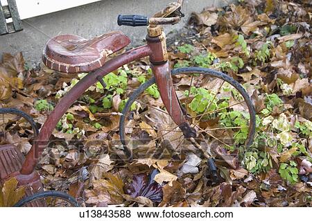 Stock Photo - leaves, tricycle, autumn, yard, forgotten, antique. Fotosearch