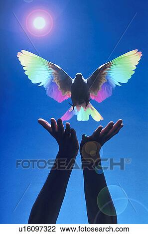 Stock Image - light, person, hand, hands, flyingsymbolpeace. Fotosearch
