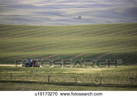 Stock Image - machine, swathes, baling, tractor, idle, hay. Fotosearch