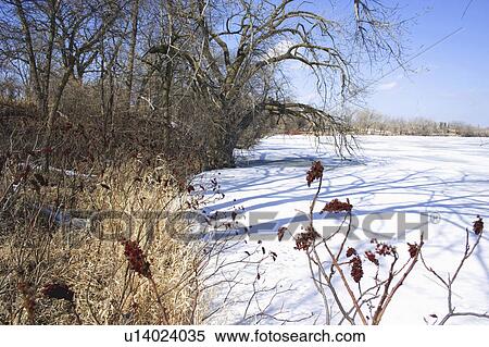 Stock Photography - minnesota, clitherall, scenic, spring, early, lake. Fotosearch
