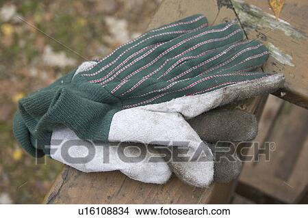 Picture - minnesota, work, brighton, new, gloves, garden. Fotosearch