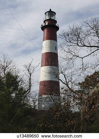 mist, lighthouse, fog, white, red, asseteague View Large Photo Image Stock Image - mist, lighthouse, fog, white, red, asseteague. Fotosearch
