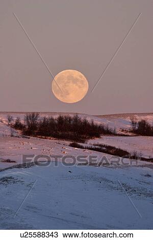 moon, flats, nicolle, rising, full View Large Photo Image Stock Image - moon, flats, nicolle, rising, full. Fotosearch