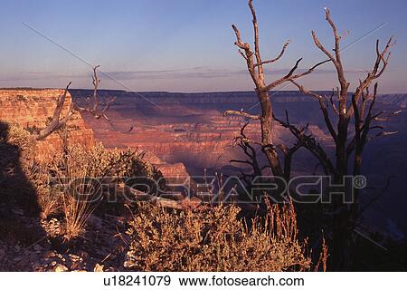 Stock Photo - morning, canyon, arizona, park, national, grand. Fotosearch