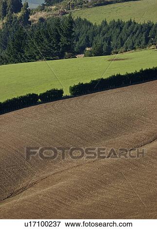 Stock Photo - new, field, scenic, island, south, picturesque. Fotosearch