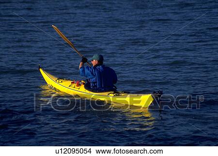 nmr, sausalito, california, francisco, san, kayaking View Large Photo Image Picture - nmr, sausalito, california, francisco, san, kayaking. Fotosearch