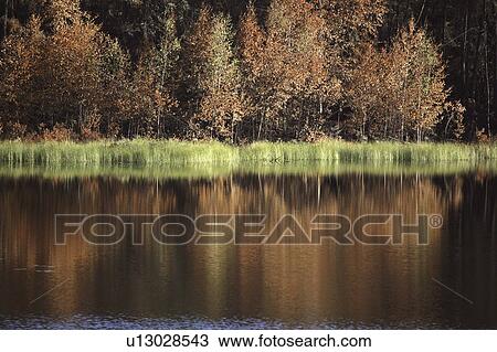 northern, lake, scenic, 914, hwy, picturesque View Large Photo Image Stock Image - northern, lake, scenic, 914, hwy, picturesque. Fotosearch