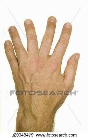 Stock Photo - object, hand, bea, fingers, six, mans. Fotosearch