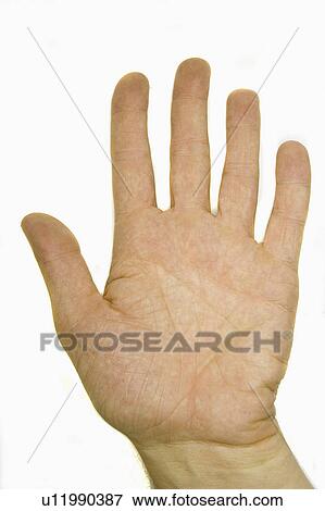 object, hand, bea, gesture, stopping, mans View Large Photo Image Stock Photo - object, hand, bea, gesture, stopping, mans. Fotosearch