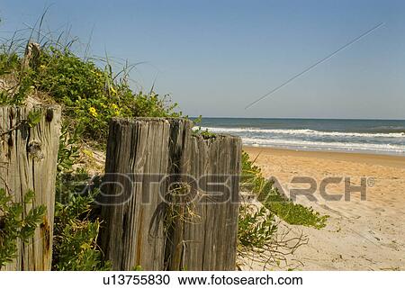 Stock Image - ocean, beach, atlantic, florida, daytona, ormond. Fotosearch