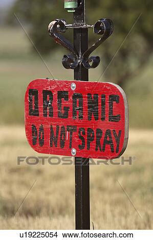 organic, sign, canada, saskatchewan, scenic, roadside View Large Photo Image Picture - organic, sign, canada, saskatchewan, scenic, roadside. Fotosearch