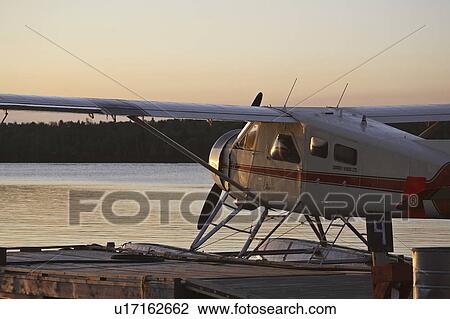otter, northern, scenic, lake, plane View Large Photo Image Stock Image - otter, northern, scenic, lake, plane. Fotosearch