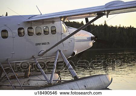 Stock Photograph - otter, northern, scenic, lake, plane. Fotosearch