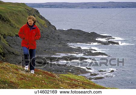 overlooking, released, girl, newfoundland, beach, model View Large Photo Image Stock Photo - overlooking, released, girl, newfoundland, beach, model. Fotosearch