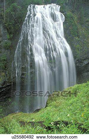 Stock Image - paradise, river, mt, mount, lewis, mt. Fotosearch