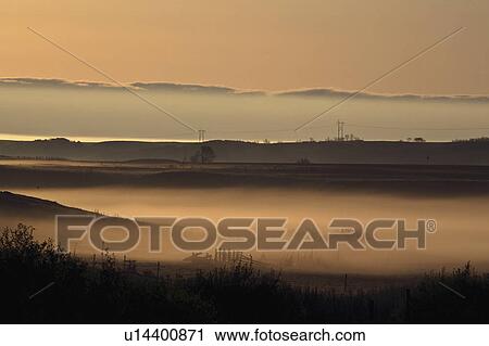Stock Image - park, fog, provincial, pound, buffalo, morning. Fotosearch