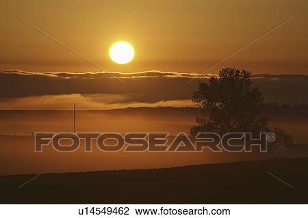 park, fog, provincial, pound, buffalo, morning View Large Photo Image Stock Image - park, fog, provincial, pound, buffalo, morning. Fotosearch