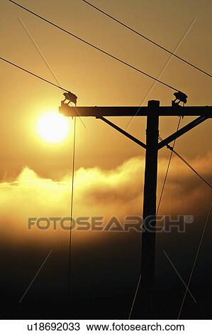 Stock Image - park, fog, provincial, pound, buffalo, morning. Fotosearch