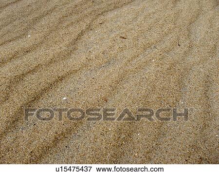 Stock Photo - peace, desert, beach, asseteague, sepia. Fotosearch