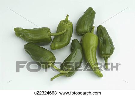 peppers, bell, background, white, padron View Large Photo Image Stock Image - peppers, bell, background, white, padron. Fotosearch