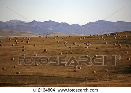 pincher, view, nw, mountains, rocky, scenic View Large Photo Image Picture - pincher, view, nw, mountains, rocky, scenic. Fotosearch