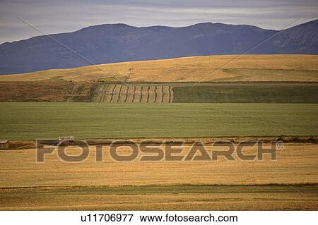 Stock Photo - pincher, view, nw, mountains, rocky, scenic. Fotosearch