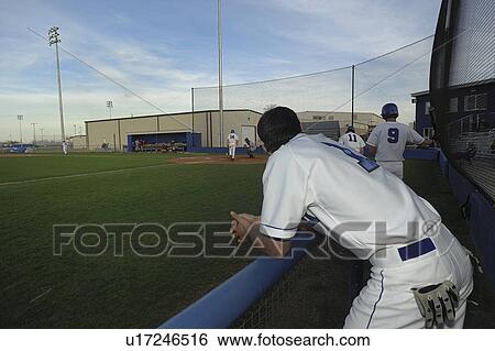play, deer, school, high, creek, baseball View Large Photo Image Stock Photograph - play, deer, school, high, creek, baseball. Fotosearch