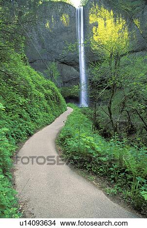 portland, landscape, columbia, falls, scenic, waterfall View Large Photo Image Picture - portland, landscape, columbia, falls, scenic, waterfall. Fotosearch