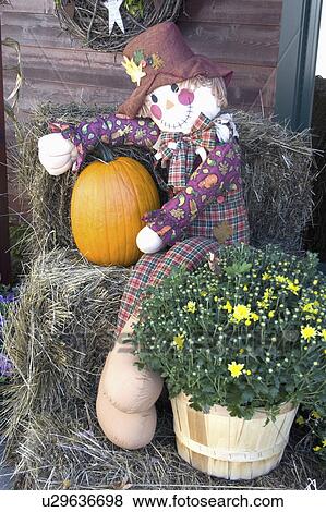 Stock Photo - pumpkin, mannequin, shop, front, sitting, halloween. Fotosearch