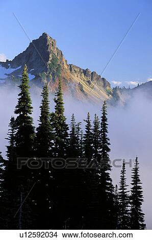 rainier, national, paradise, silhouette, mountains, sky View Large Photo Image Picture - rainier, national, paradise, silhouette, mountains, sky. Fotosearch