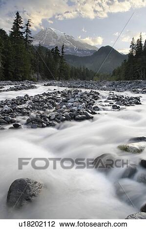 rainier, river, mt, mount, below, nisqually View Large Photo Image Stock Image - rainier, river, mt, mount, below, nisqually. Fotosearch