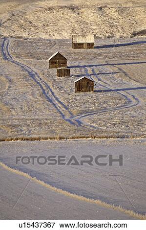 ranch, morning, mountains, rocky, sunlight, low View Large Photo Image Stock Photo - ranch, morning, mountains, rocky, sunlight, low. Fotosearch